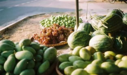 青海吃瓜爆料官方入口,官方入口揭秘，带你探秘幕后真相