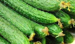 黄瓜特效爆料吃瓜抖音,抖音吃瓜新潮流